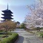Street view of Five-story pagoda of Tō-ji of the world heritage